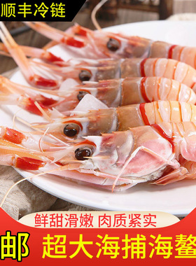 【顺丰速运】超大海鳌虾深海虾新鲜铁甲虾速冻日料刺身生鲜