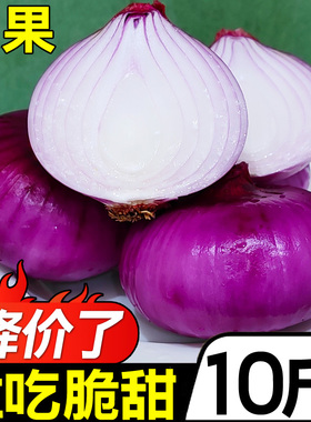 云南水果洋葱10斤新鲜紫皮圆葱蔬菜当季扁大小洋葱头甜味生吃脆甜