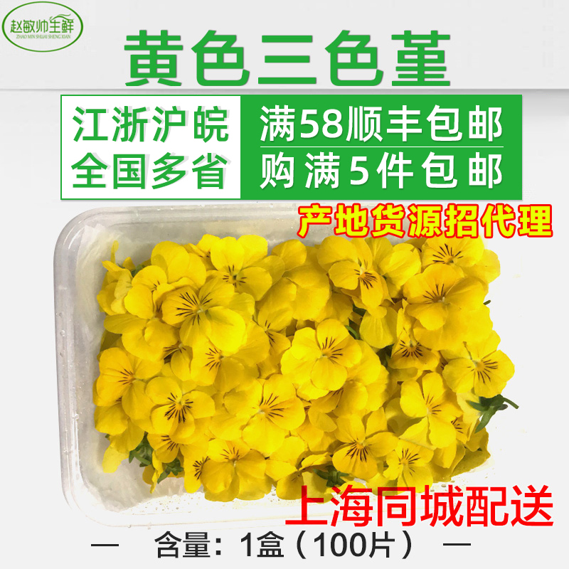 黄色三色堇 100朵/盒 5盒包邮 新鲜蔬菜 装饰花食用花 西餐配菜