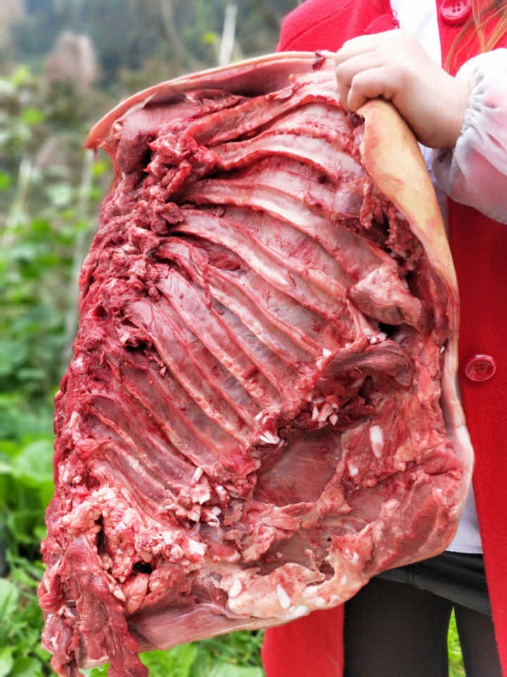 农家散养现杀生鲜土黄牛肉新鲜带皮小黄牛肉带皮牛腩肉满4斤包邮