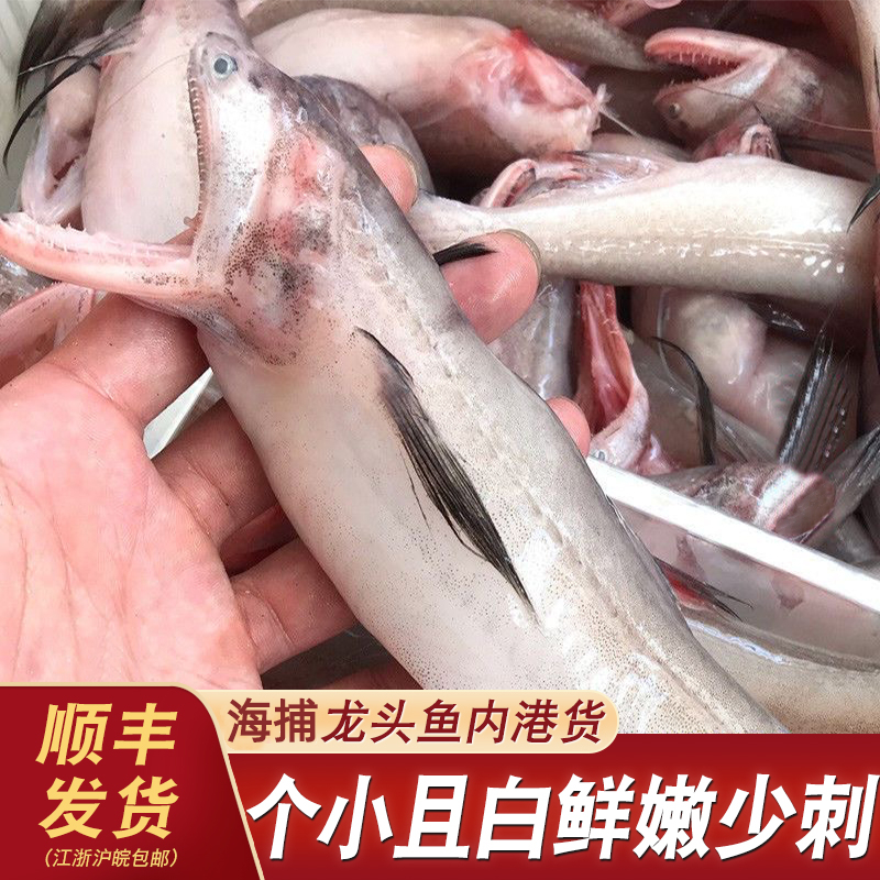 舟山特产新鲜水产龙头鱼鲜活冷冻豆腐鱼生鲜九肚鱼水潺鱼3斤装