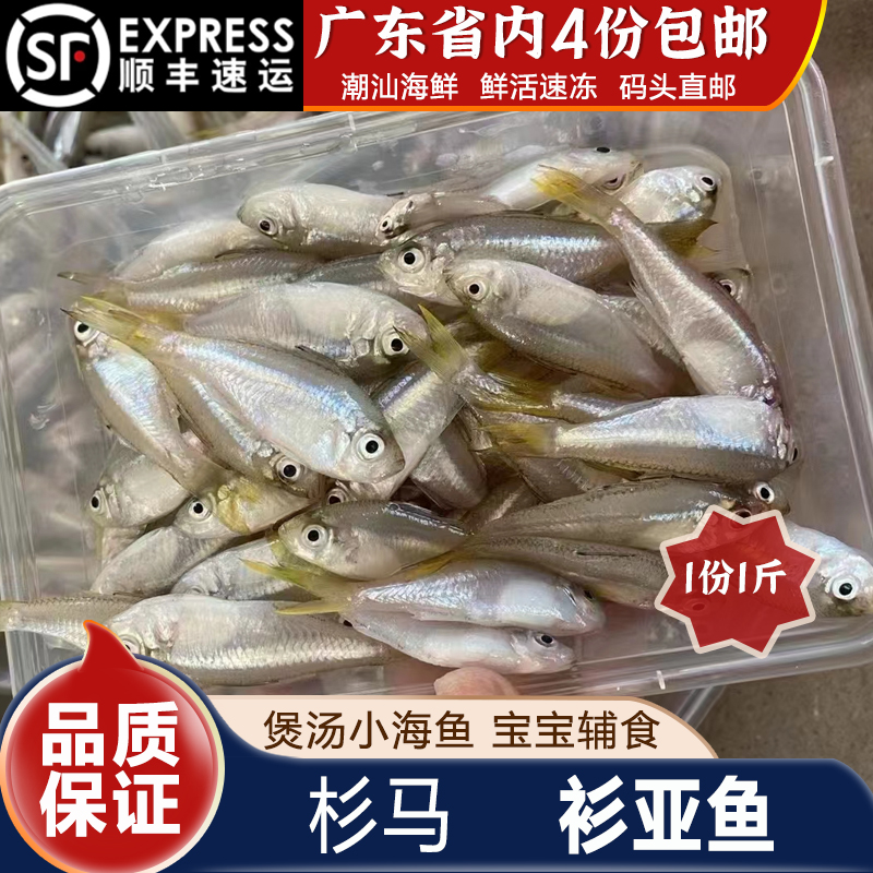 衫亚鱼营养煲汤小海鱼潮汕海鲜水产冷冻海捕生鲜新鲜杉马鱼1斤