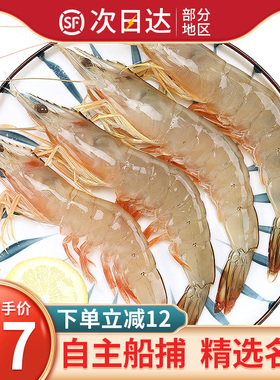 活冻海捕大明虾 南海自主捕捞对虾海白虾黄虾国产水产虾类生鲜
