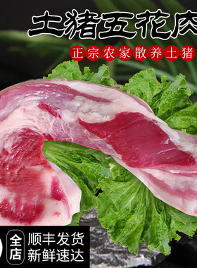 新鲜农家土猪肉 粮食喂养 新鲜生猪肉五花肉500g 红烧肉烤肉食材