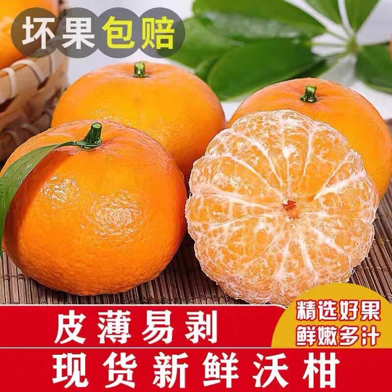 【沃柑福利】柑橘自然熟应季水果优质现剪现发纯甜新鲜水果