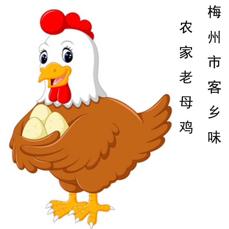 梅州客乡味 现杀生鲜冷冻整鸡 农家散养走地土鸡 三黄胡须 老母鸡