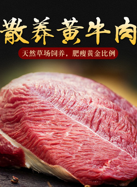 生牛肉 新鲜牛肉 放养黄牛肉 牛腩 肋条肉 牛后腿肉 肋排肉500g