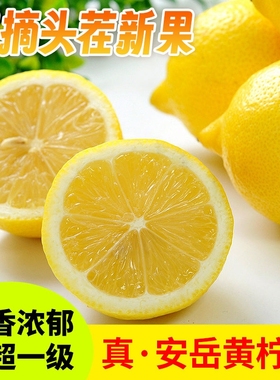 四川真安岳黄柠檬新鲜水果精选薄皮香水柠檬生鲜亮袋皮薄一级泡水