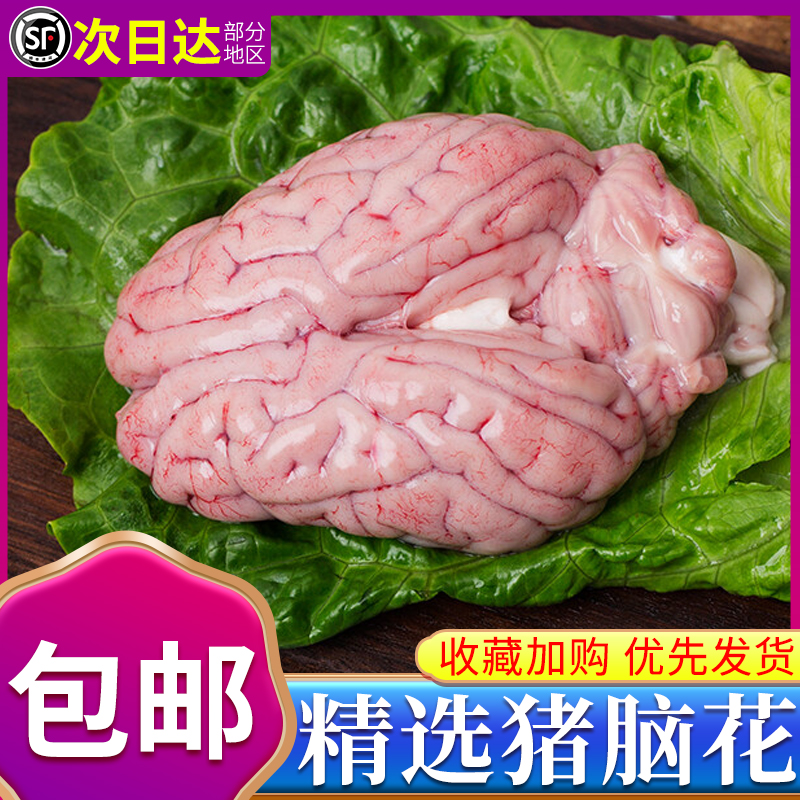 猪脑花新鲜冷冻猪小脑24副生鲜大猪脑袋商用烧烤火锅炖汤食材包邮
