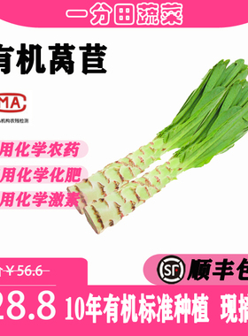 一分田有机莴苣莴笋 约500g 新鲜蔬菜生鲜套餐 配送 【顺丰速运】