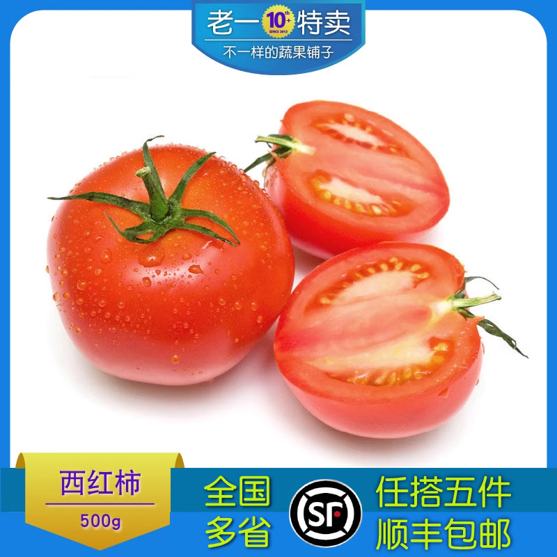 老一特卖  西红柿 洋红番茄 新鲜 蕃茄 蔬菜500g