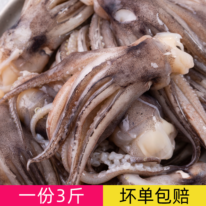 新鲜鱿鱼须冷冻鱿鱼头海鲜鱿鱼生鲜批发商用尤鱼铁板烧烤火锅食材
