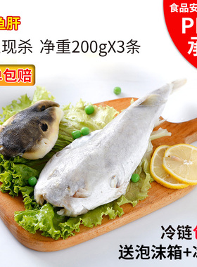 豚之杰河豚鱼食用200g*3条已处理淡水鱼河豚生鲜新鲜养殖暗纹生鱼
