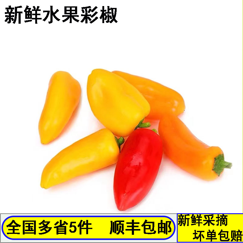 水果椒甜椒新鲜蔬菜500g迷你小辣椒红黄彩椒小彩椒沙拉西餐食材