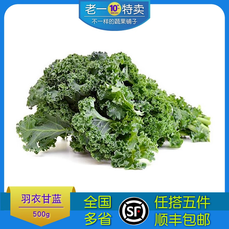 新鲜羽衣甘蓝500g叶杜丹Kale多省三份包邮超模网红轻食蔬菜