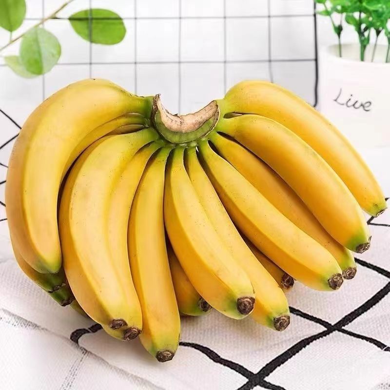 高山甜香蕉水果当季现摘大香蕉一整箱香蕉自纯天然