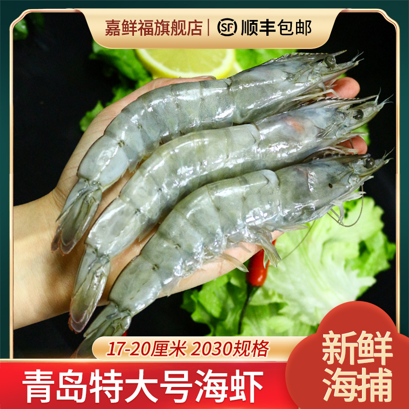 活虾冷冻超大号海虾基围虾鲜对虾青岛大虾大青虾海水虾生鲜水产