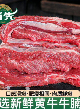 牛腩新鲜整切牛肉4斤正宗散养牛腩肉冷冻商用生鲜牛肉食材