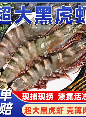 黑虎虾大虾水产海鲜超大斑节虾鲜活速冻基围虾竹节虾生鲜冷冻虾类