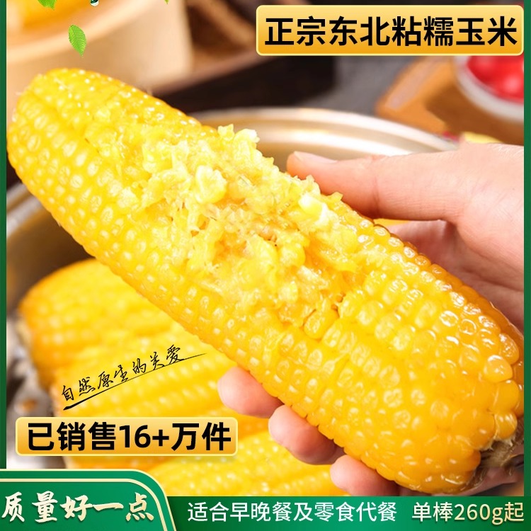 东北黄糯玉米代餐甜玉米杂粮新鲜粘玉米真空装即食新鲜熟糯玉米