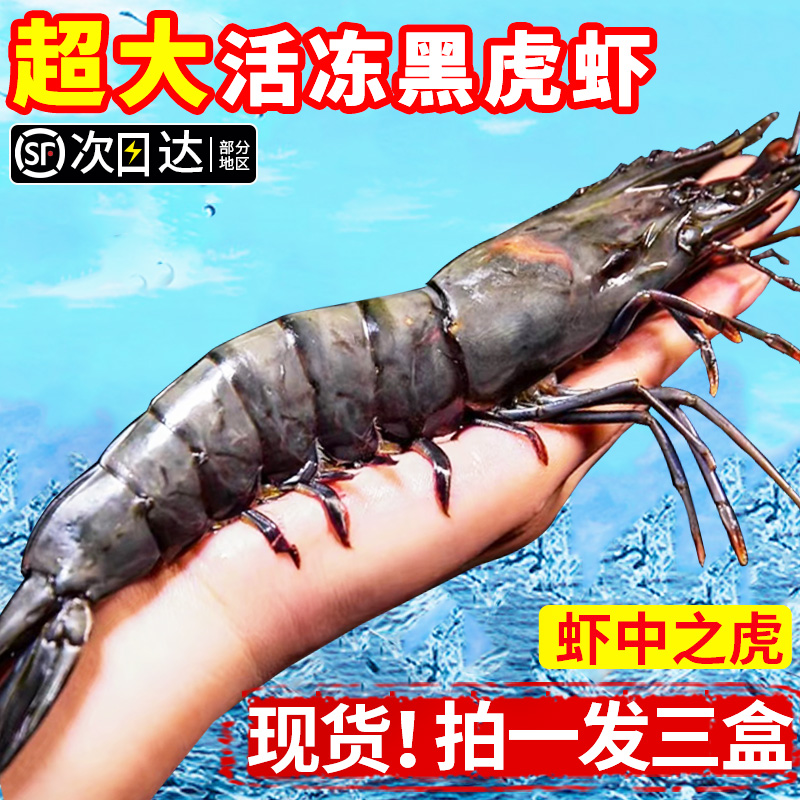 超大黑虎虾鲜活冷冻虾类海鲜水产新鲜对虾特大商用基围虾顺丰冷链