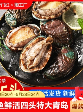 鲍鱼鲜活大个四头特大青岛新鲜生鲜贝类4-5头海鲜水产包邮大鲍鱼