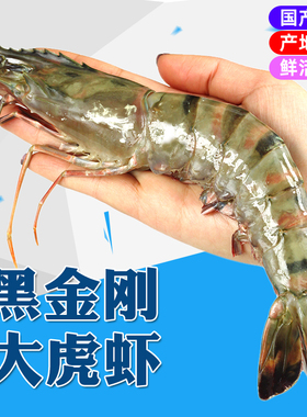 金刚黑虎虾鲜活超大海捕大虾特大巨型冷冻对虾新鲜斑节虾商用海鲜