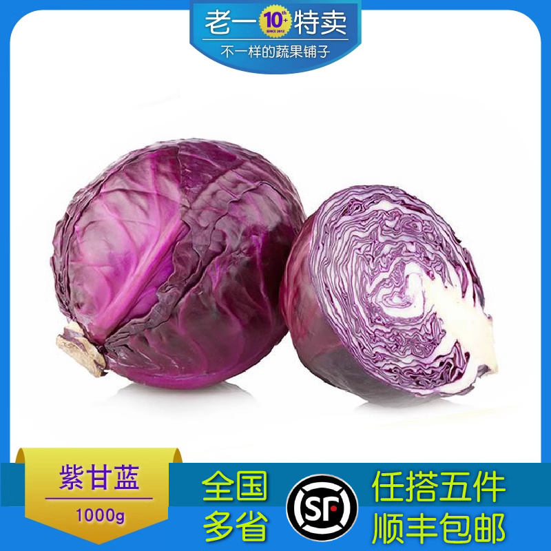 老一特卖 新鲜紫甘蓝 紫球生菜 沙拉菜 绿色蔬菜紫包球生菜 1000g