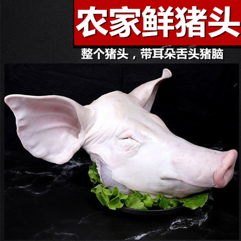 生猪头12斤左右 整个猪头带耳朵 猪舌 猪脑 现杀新鲜农家 半个猪