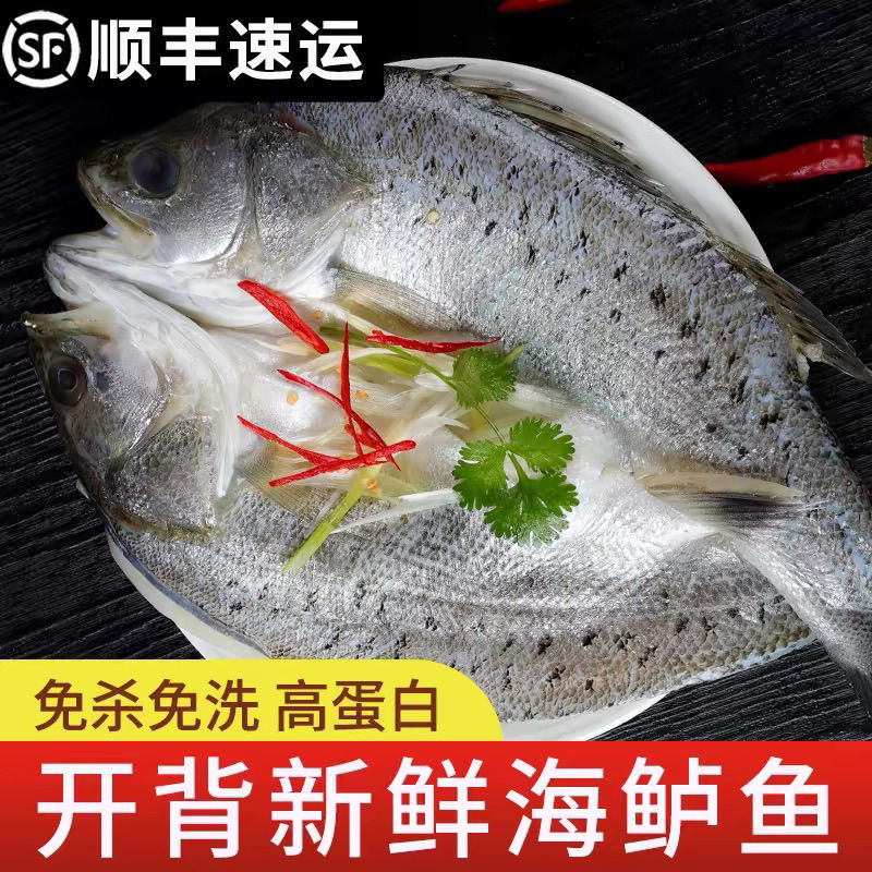 【三去开背海鲈鱼】海鱼鲜冻七星鲈鱼烤鱼生鲜海鲜水产活鱼鲜制