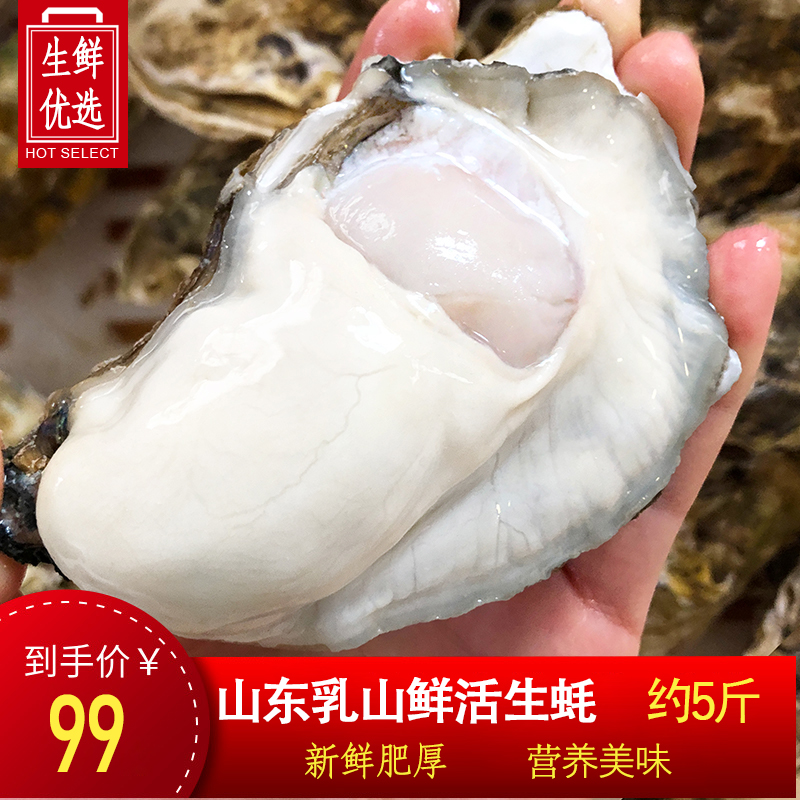 【5斤活生蚝】乳山特大号生蚝牡蛎5斤鲜活新鲜带壳生吃海蛎子海鲜