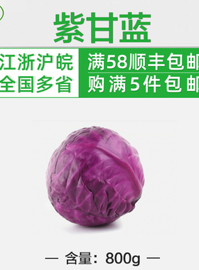 紫甘蓝800g 5份包免邮 紫包菜新鲜蔬菜沙拉菜色拉紫卷心菜