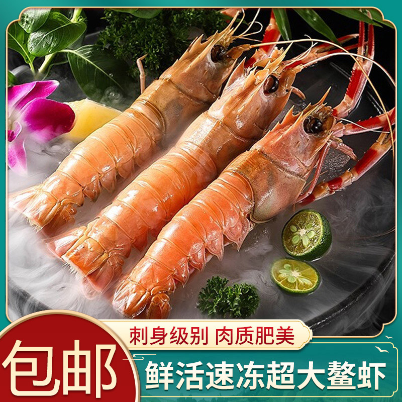 3斤海鳌虾鲜活速冻超大鳌虾海龙虾海虾刺身日料食材2斤生鲜虾类