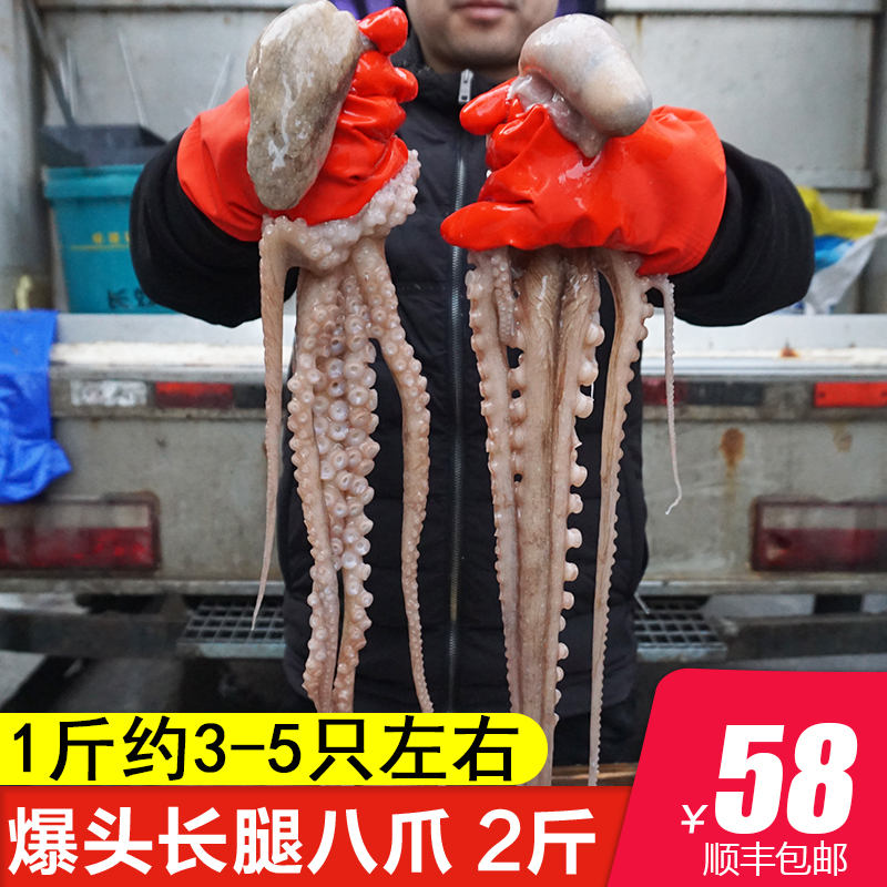 爆头八爪鱼2斤一包 鲜活冷冻新鲜生鲜大 小章鱼海鲜水产长腿八抓