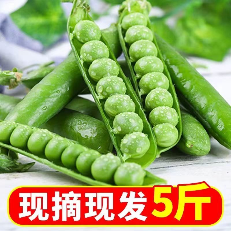 云南新鲜豌豆9斤装应当季青豆带壳生鲜蔬菜甜豌豆粒农家整箱包邮