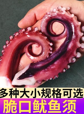 脆口鱿鱼须新鲜冷冻海鲜水产生鲜超大章鱼须八爪鱼足鱿鱼腿八爪足
