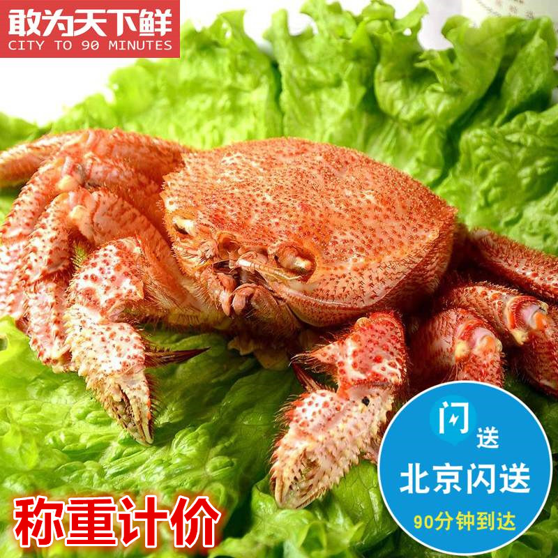 北京闪送 鲜活超大 红毛蟹 俄罗斯进口 海鲜日料食材水产