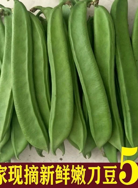 新鲜刀豆江西自种青刀豆刀巴豆 现摘绿色生鲜蔬菜