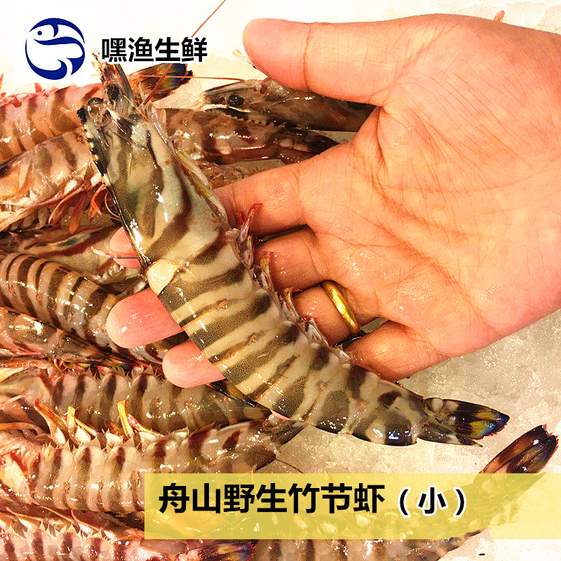 嘿渔生鲜海鲜舟山东海野生 斑节新鲜竹节虾冰冻 13-15只/斤