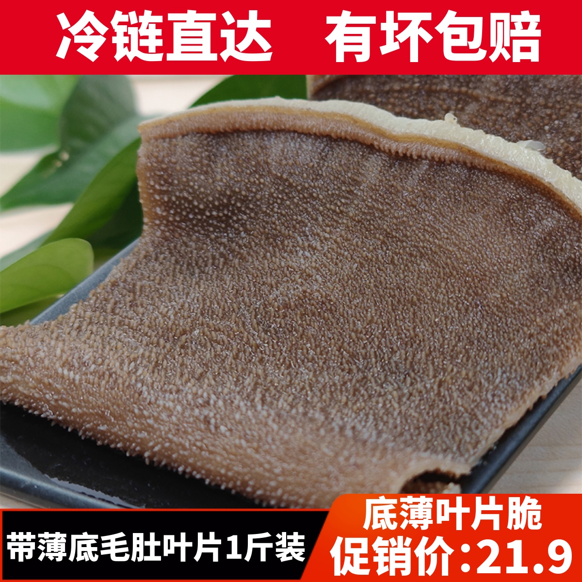 毛肚叶片带底板5斤装新鲜牛百叶重庆火锅冒菜串串商用家用食材