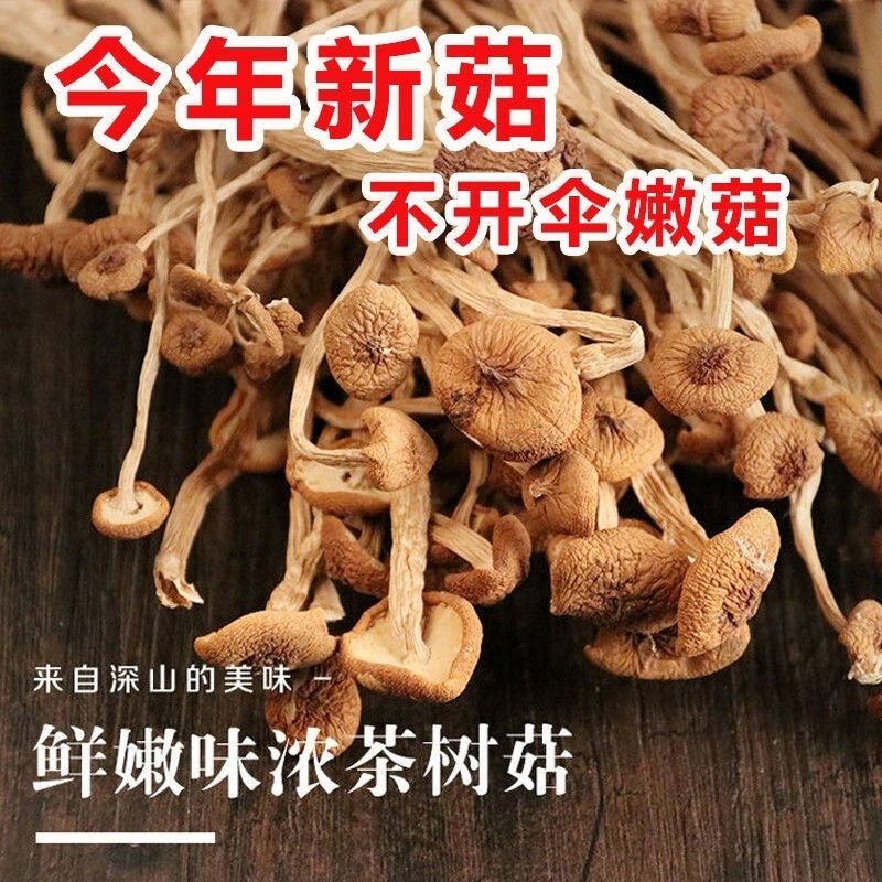 古田农家茶树菇不开伞2024新鲜干货茶树菇干货500g香菇蘑菇煲汤