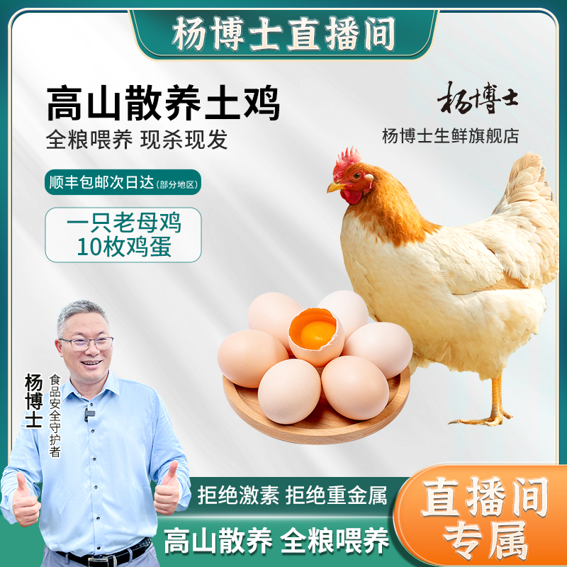 【直播间专享】杨博士老母鸡高山散养土鸡新鲜现杀现发孕妇月子鸡