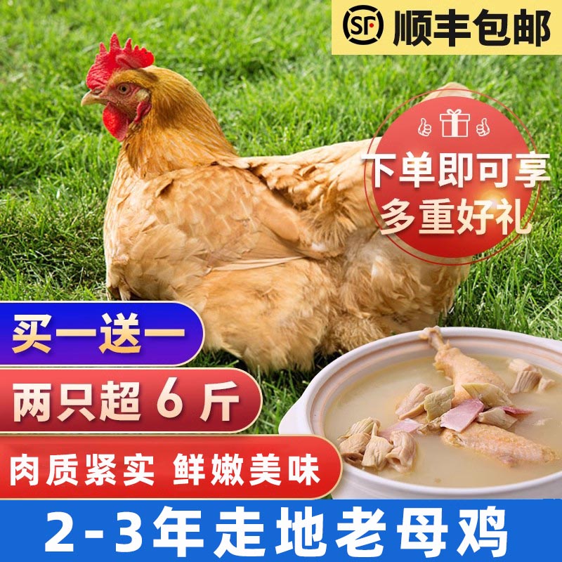 2年老母鸡农家土鸡新鲜品质鸡肉生鲜整只月子鸡笨鸡2只超6斤顺丰