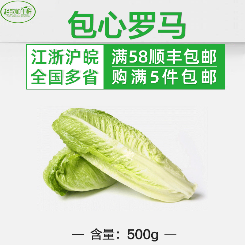包心罗马500g 包罗生菜  包心罗纹 江浙沪5斤包邮 新鲜蔬菜