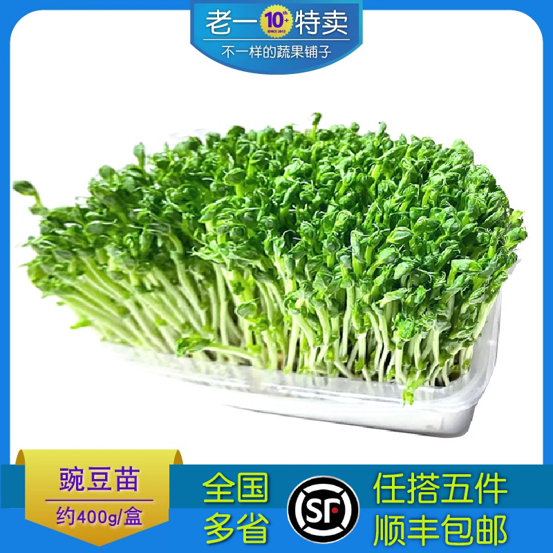 老一特卖 新鲜 蔬菜 豌豆苗 10元/盒约400克左右