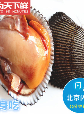 2-3只 500g 北京闪送 鲜活赤贝 只能刺身 水产海鲜 收到需要清理