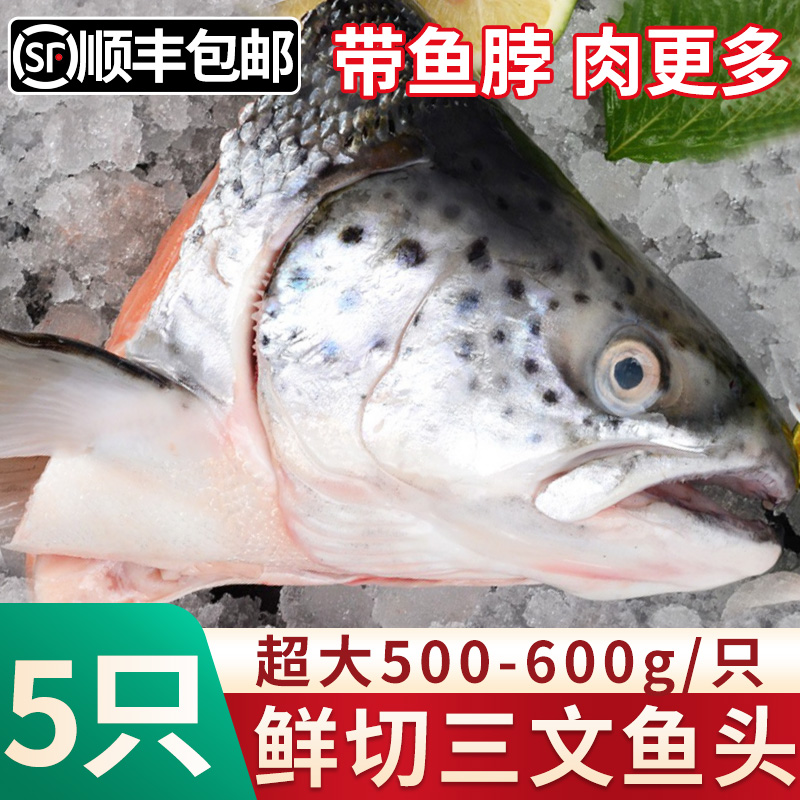 三文鱼头新鲜冷冻超大深海鱼头三文鱼边角料人吃烧烤煲汤海鲜水产