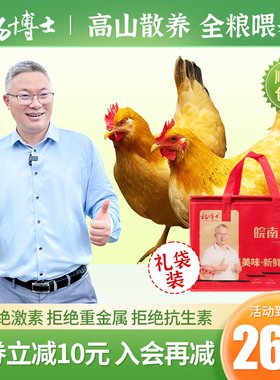 【礼盒装】杨博士土鸡高山农家散养老母鸡营养鸡汤现抓现发整只
