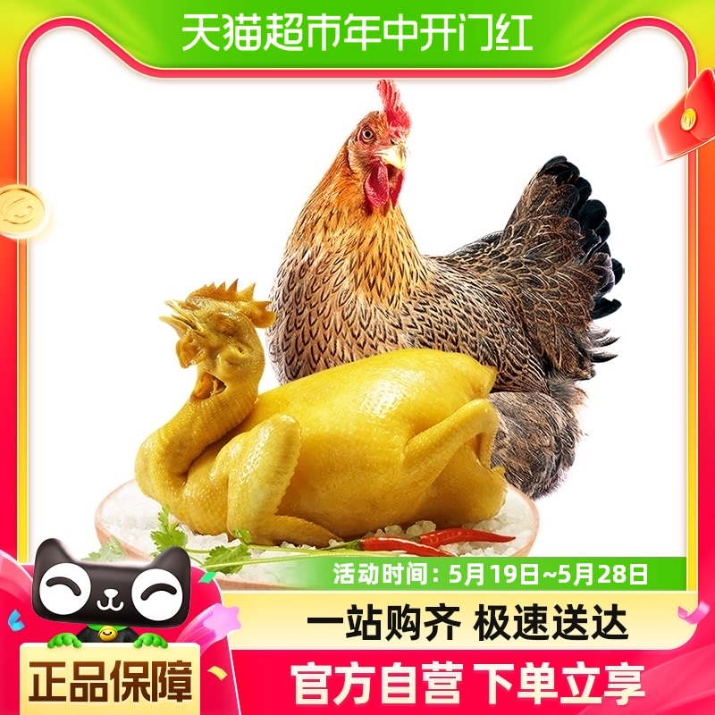 天农广府盐焗清远鸡500g走地鸡土鸡广式扒鸡开袋即食生鲜食品整鸡