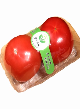 北京发货 新鲜西红柿沙瓤番茄生鲜北京健康蔬菜自然成熟500g